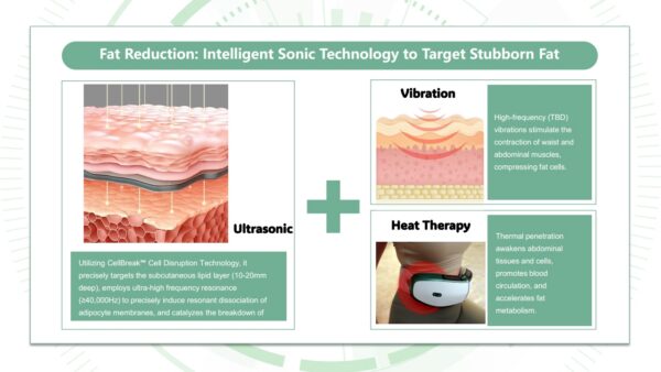 Masseur vibrant OlyLife